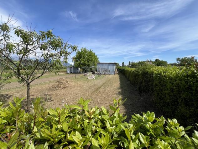TERRENO AGRICOLO di 7000 mq (PIETRASANTA) rif. 167 - Foto 5