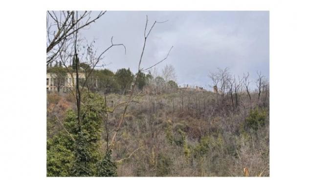 Immobile in asta di 10244 m² in vendita a Teramo - Foto 7