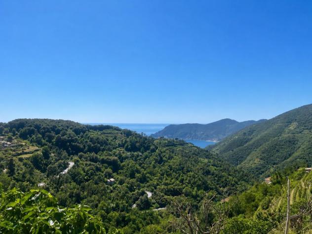 Terratetto in vendita a San Bernardino - Vernazza 95 mq Rif: 1420885 - Foto 3