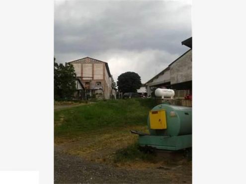 Azienda Agricola in Val d''Enza - Foto 2