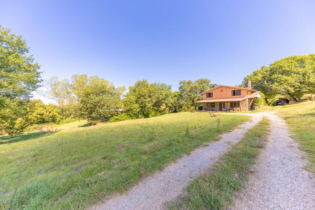 Casale in vendita a Barbarano Romano - Foto 20