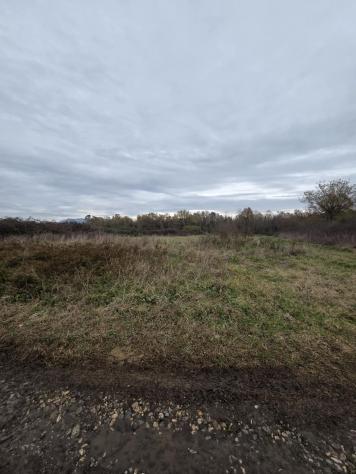 Terreno agricolo in vendita a Orentano - Castelfranco di Sotto 5000 mq Rif: 1383545 - Foto 6