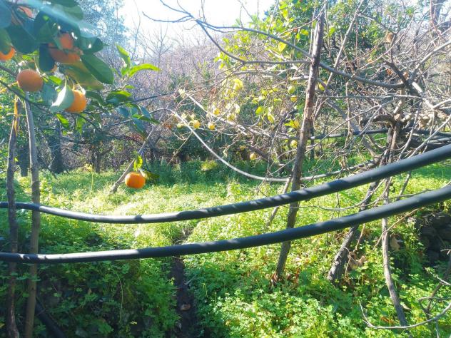 Terreno in vendita a Giarre - Foto 7