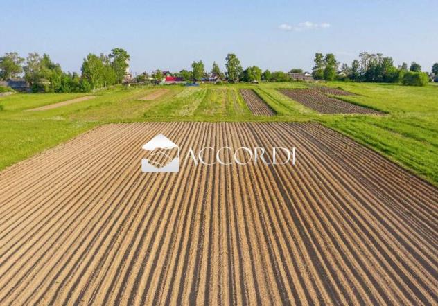 TERRENO AGRICOLO di 29000 mq (TREVISO) rif. DG324