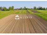 TERRENO AGRICOLO di 29000 mq (TREVISO) rif. DG324
