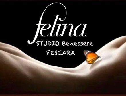 **FELINA Studio**. PROVA A FARTI TRASPORTARE OLTRE I SENSI ….. Tel:3311958888