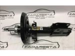 Coppia Ammortizzatori Anteriori Renault Megane III