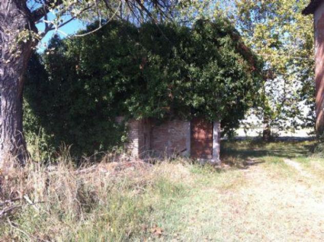 Rustico / Casale di 3771 m² con più di 5 locali in vendita a Soliera - Foto 2