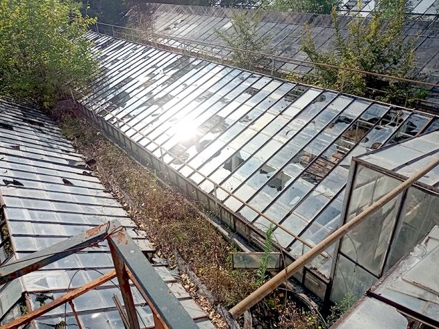 Azienda di floricoltura a Pozzuolo del Friuli - Foto 12