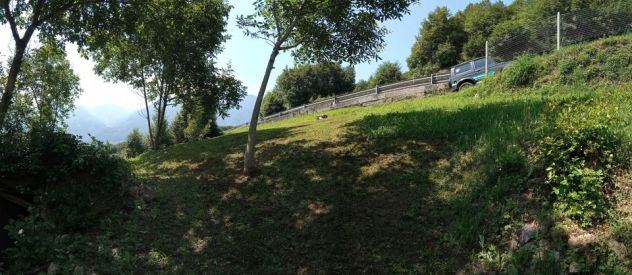 TERRENO AGRICOLO