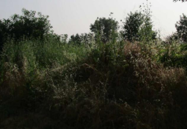 Immobile in asta di 2 m² in vendita a Rivanazzano Terme - Foto 10