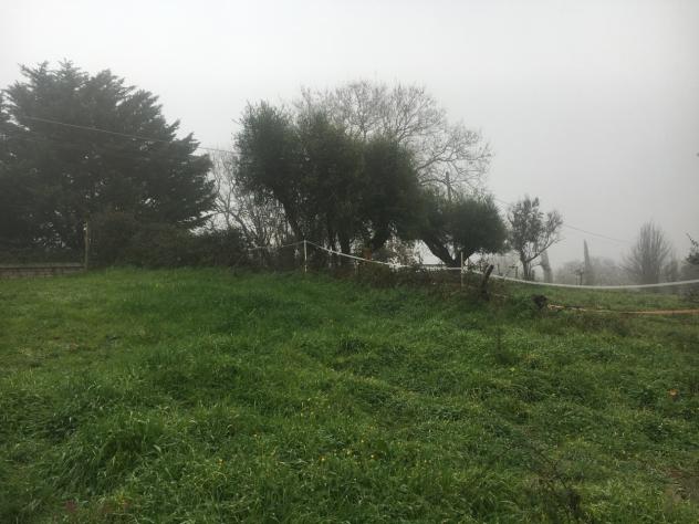 Agricolo in vendita a Sacrofano - Foto 6
