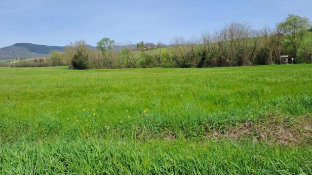 TERRENO AGRICOLO di 130000 mq (SCARPERIA E SAN PIERO - SCARPERIA) rif. AAI788