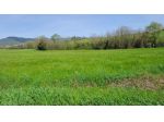 TERRENO AGRICOLO di 130000 mq (SCARPERIA E SAN PIERO - SCARPERIA) rif. AAI788