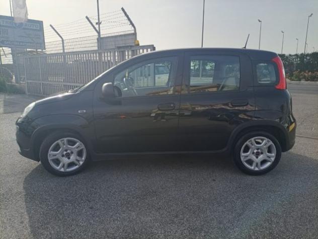 FIAT Panda 1.0 FireFly Hybrid ANDROID/CARP UNIPROPRIETARIO!! rif. 23937447 - Foto 5