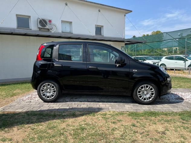 FIAT Pandina 1.0 FireFly 65cv S&S 6m Hybrid Icon - Foto 6