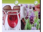 Pulizie appartamenti - ville - B&B - Eliminazione inquinamento indoor