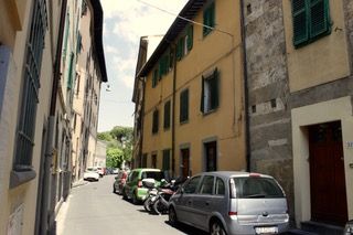 Psicologo a Pisa tel.3475033016 - Foto 4