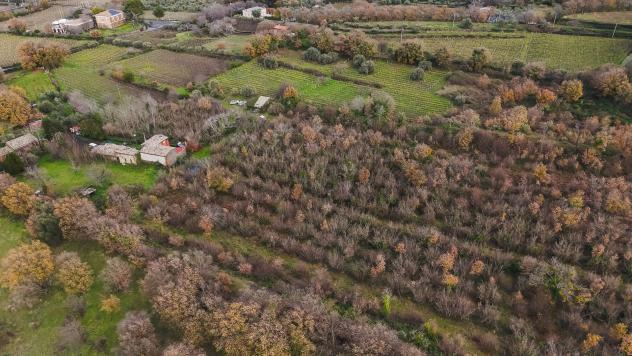 Terreno Edificabile in vendita a Randazzo, Montelaguardia - Foto 11