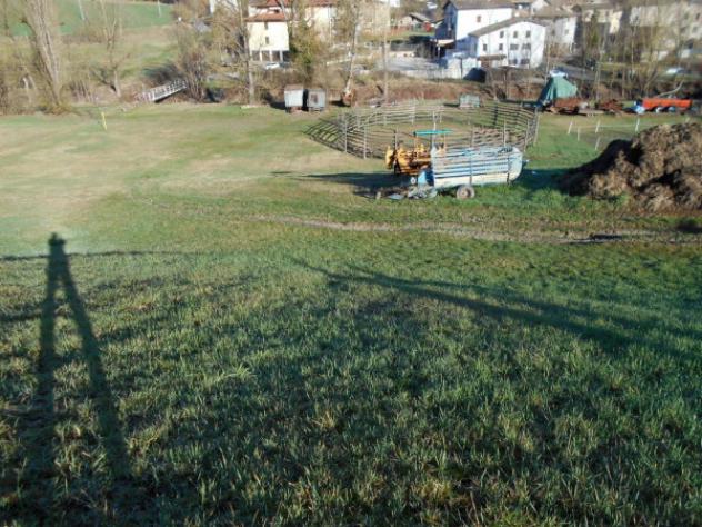 Immobile in asta di 12503 m² in vendita a Viano - Foto 3