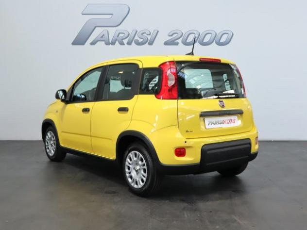 FIAT Panda 1.0 FireFly S&S Hybrid new version 2024 rif. 19560691 - Foto 4