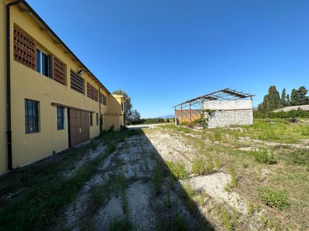 Capannone artigianale in affitto a Migliarino - Vecchiano 790 mq Rif: 1303676 - Foto 10