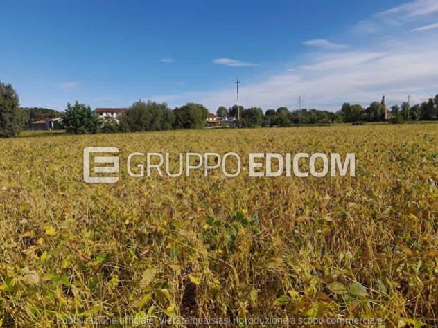 Terreno di 16800 mq in vendita a Fossalta di Portogruaro - Rif. 4551605 - Foto 7