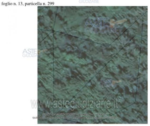 IMMOBILI-ALTRA CATEGORIA-Località Ca' Zemprino e località Case Gasperoni - Foto 3