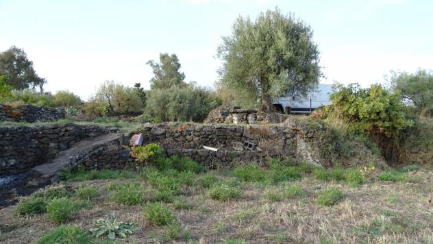 Area verde in vendita a Mascalucia - Foto 5