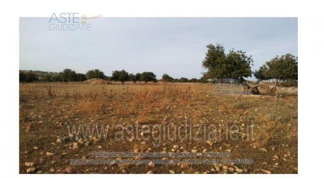 IMMOBILI-ALTRA CATEGORIA-Contrada Aurnia Brizza - Foto 4
