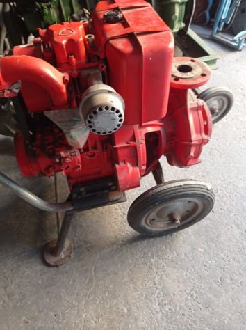 MOTOPOMPA RUGGERINI DIESEL 18,5 CV - Foto 2