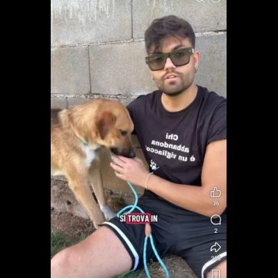 MOCKY CERCA UN AMICO AMOREVOLE CUCCIOLO IN ADOZIONE - Foto 3