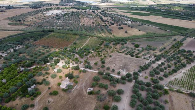 Terreno Agricolo - Noto . Rif.: Cod. rif 3321426VRG - Foto 10