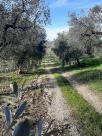 Immobile in asta di 208 m² in vendita a Castelnuovo di Farfa - Foto 6