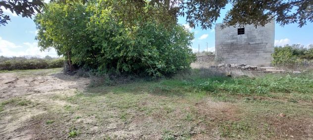 CON CASOLARE – AMPIA CAMPAGNA - Foto 6