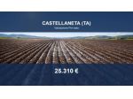 Immobile in asta di 47814 m² in vendita a Castellaneta