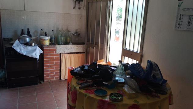 Terreno edif. residenziale in vendita a Paganico - Civitella Paganico 50000 mq Rif: 1072899 - Foto 6