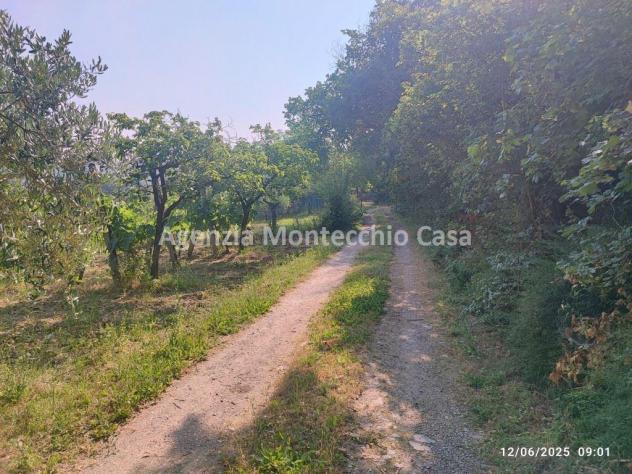Occasione unica per amanti della natura e della campagna! - Foto 8