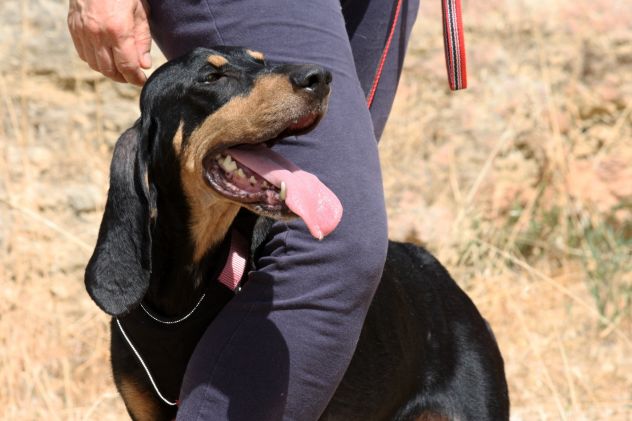 Bea in adozone - Foto 3