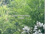 Scarperia - Monofamiliare con giardino e posti auto