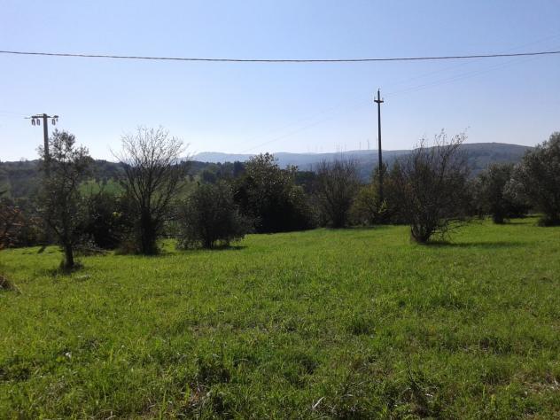 Terreno edificabile in vendita a Casciana Terme Lari - Foto 4