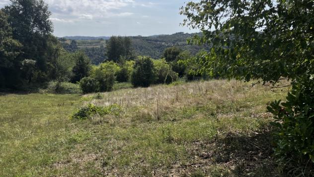 Seminativo in vendita a Altavilla Vicentina - Foto 6