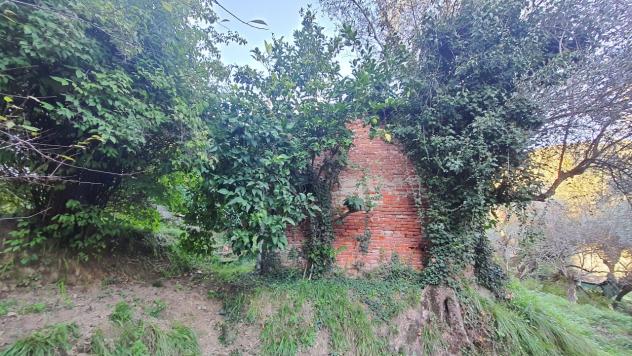 Agricolo in vendita a La Spezia - Foto 13