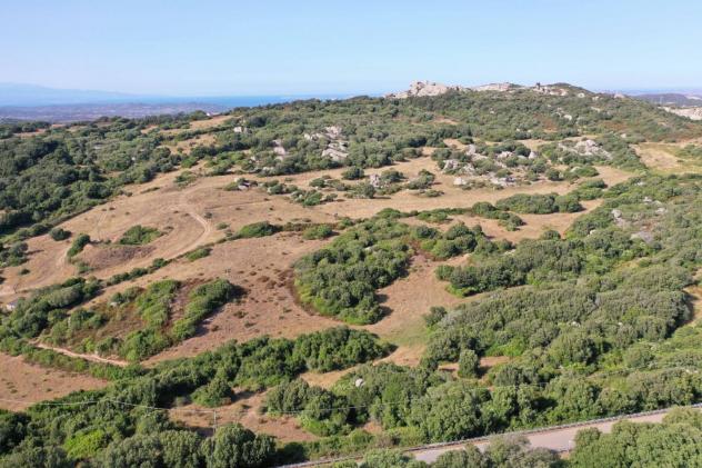 Terreno agricolo in vendita a Luogosanto 45000 mq Rif: 1356628