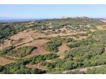 Terreno agricolo in vendita a Luogosanto 45000 mq  Rif: 1356628