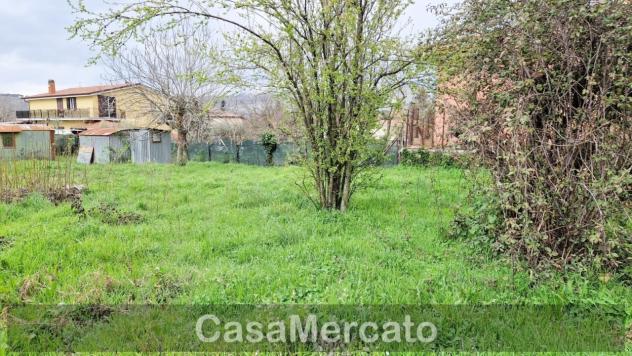 Agricolo in vendita a Rocca di Papa - Foto 6