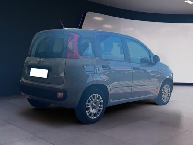 FIAT Panda 1.0 FireFly 70cv S&S Hybrid - Foto 4