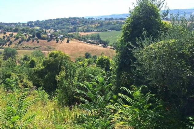 Immobile in asta di 27173 m² in vendita a Macerata - Foto 4