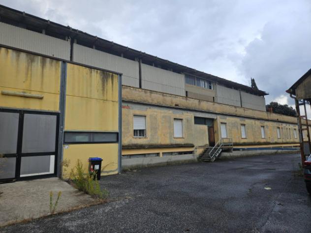 Immobile in asta di 7600 m² in vendita a Crespina e Lorenzana - Foto 11