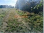 Terreno agricolo pianeggiante ideale per allevamento cani o pony